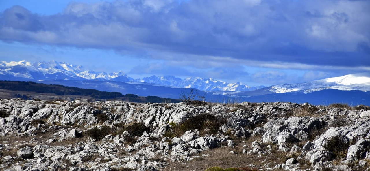 WhatsApp Image 2026-02-09 at 20.29.04 (1)